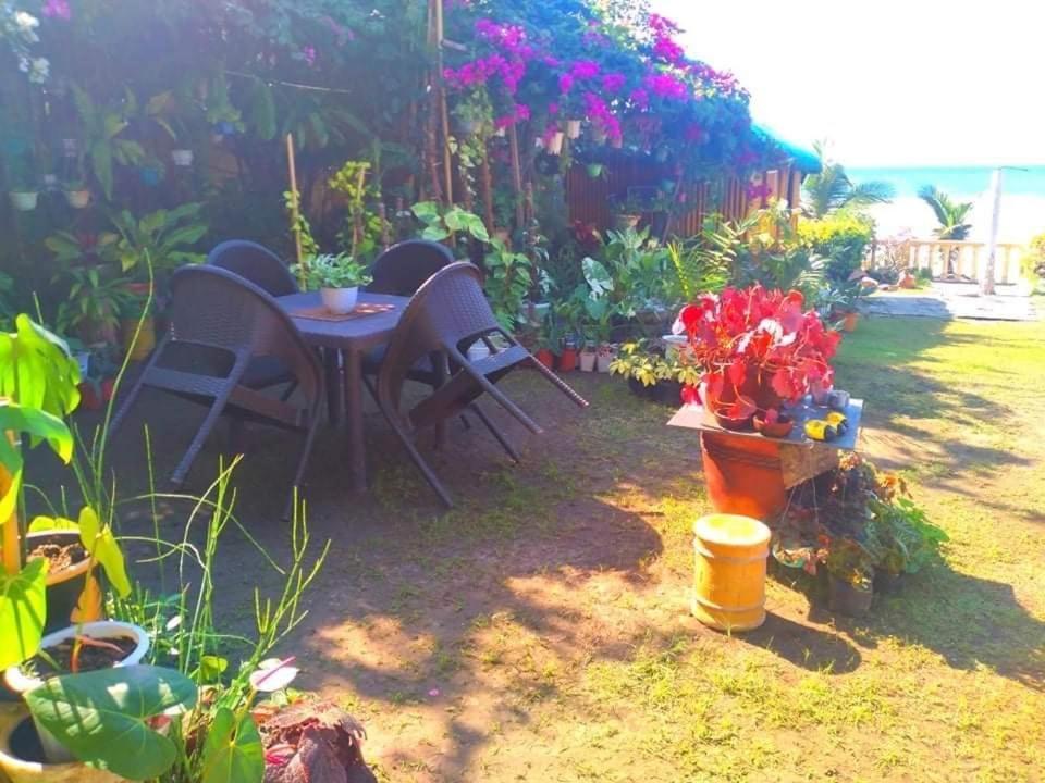 Seabreeze Beachfront Home And Cottages New Management San Juan  Ngoại thất bức ảnh